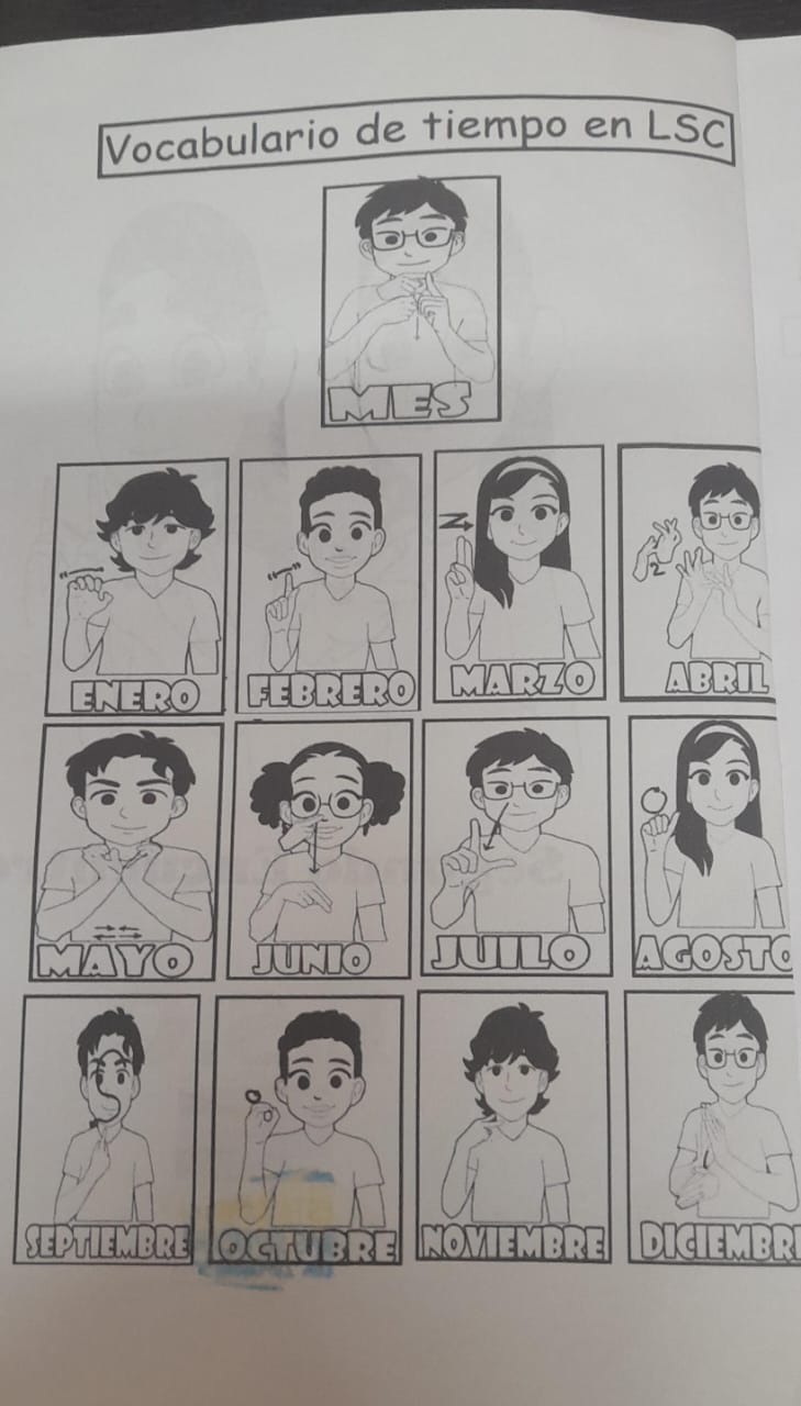 MESES